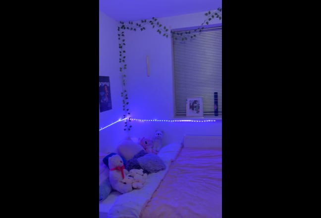 Video 1: Licing room