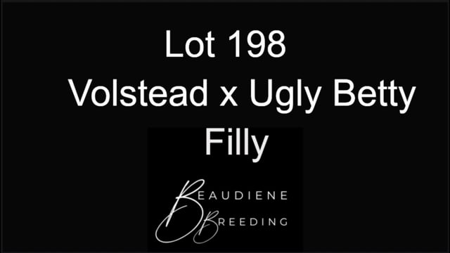 Lot 198