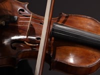 Related Embedded Video Item Thumbnail