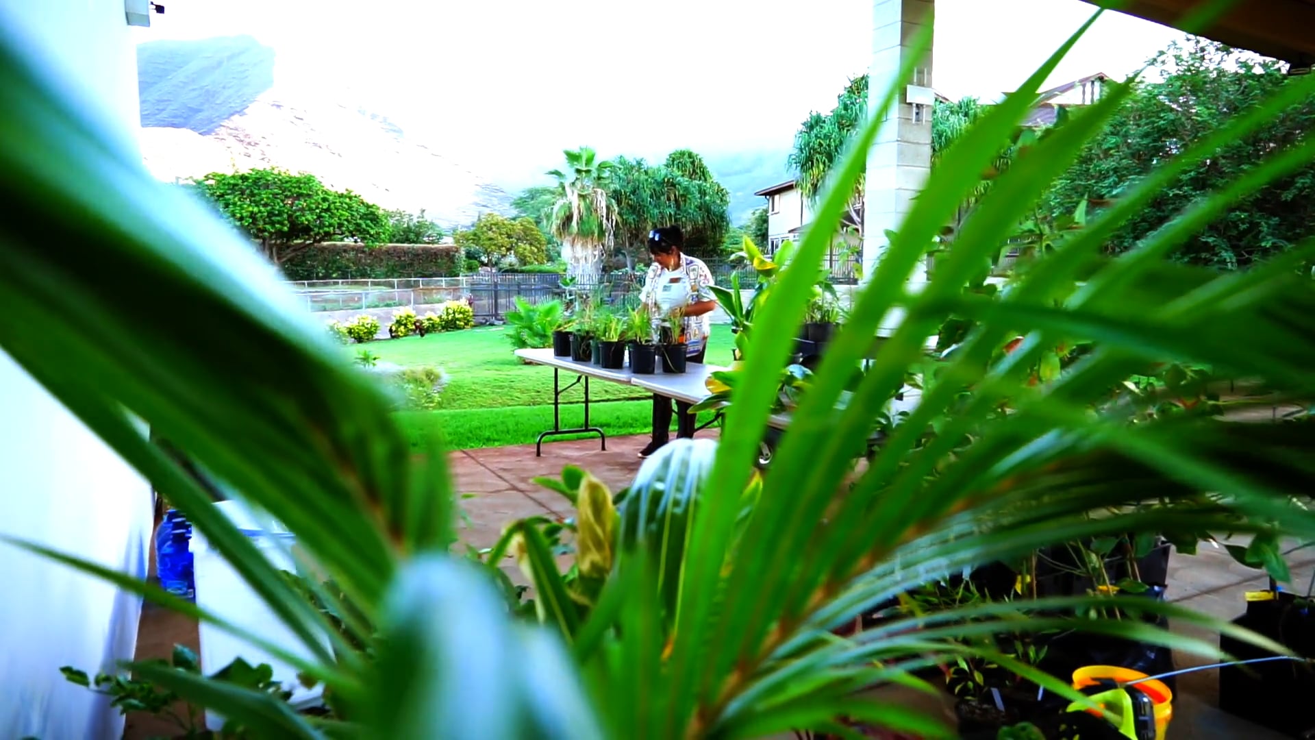 MLC Arbor Day in Nānākuli 2026