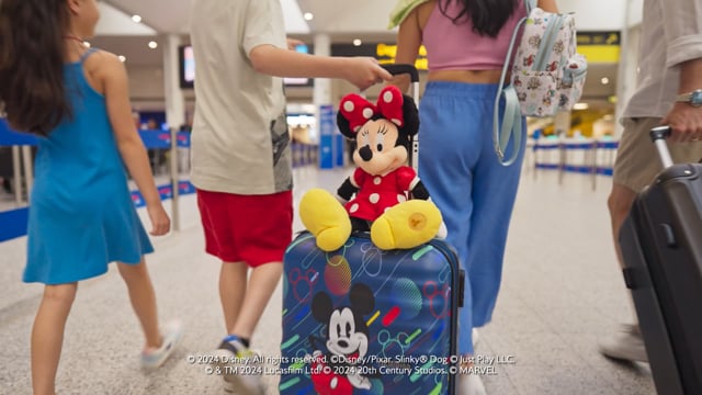 Related Embedded Video Item Thumbnail