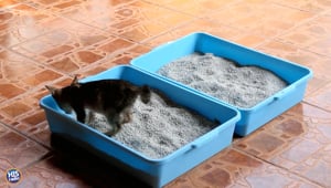 Hack For Melting Ice