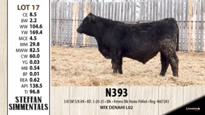 Lot #17 - N393