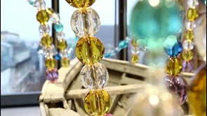 Vignette de la vidéo