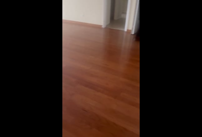 1 bedroom with a private bath for rent  Main Photo