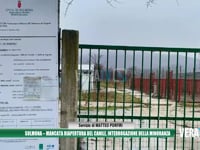 Sulmona - Mancata riapertura del canile, interrogazione della minoranza