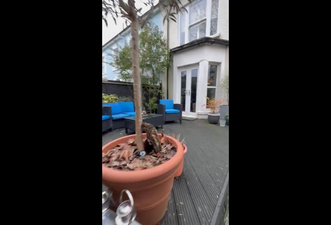 Room in lovely house Main Photo