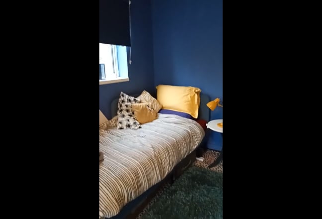 Double room, single bed in garden flat (Females) Main Photo