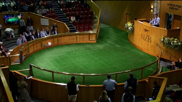 Karaka 2026: Book 1, Day 1 - Preview Show Part 3 - Lot 2