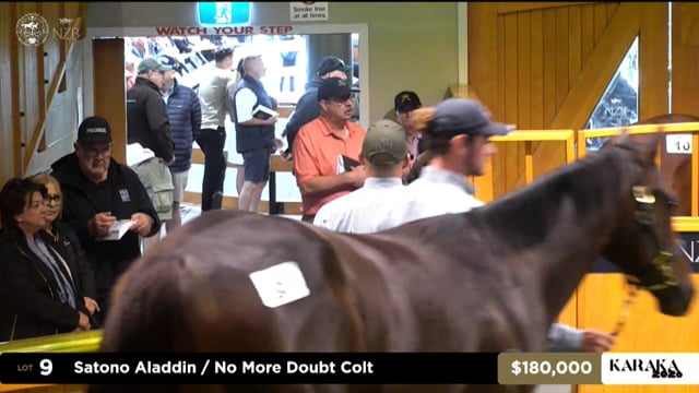 Karaka 2026: Book 1, Lots 9 - 17