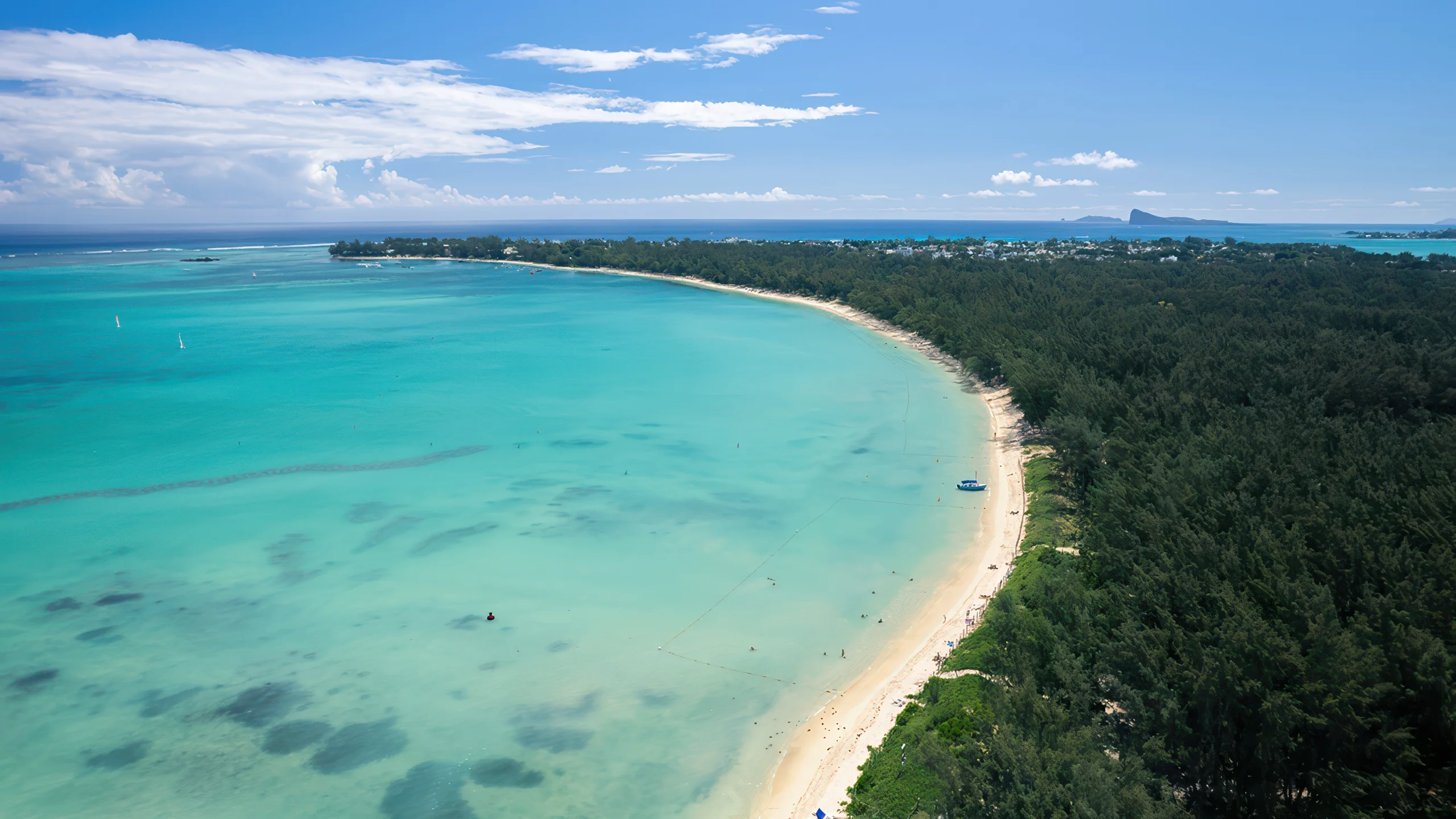 019bdda4-4032-7328-bed5-2725fbf6e8d3