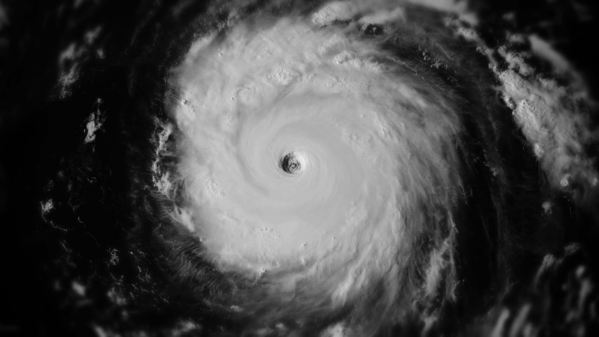 Fresenius Medical Care