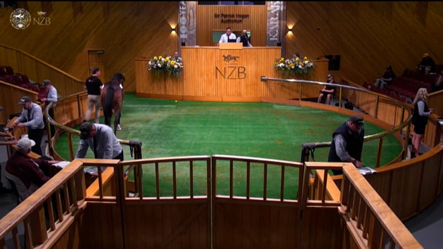 Karaka 2026: Book 1, Lots 78 - 86