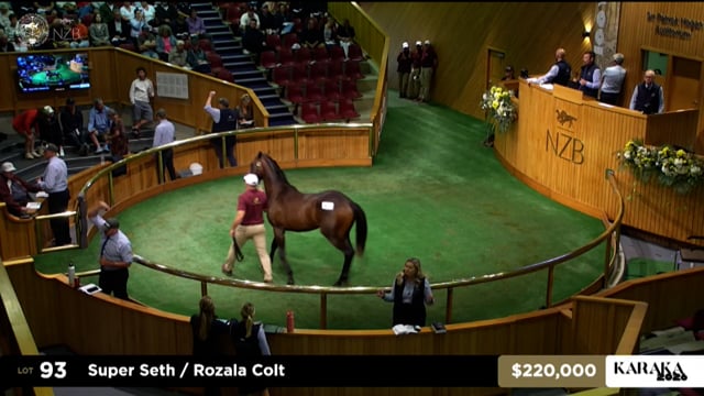 Karaka 2026: Book 1, Lots 93 - 101