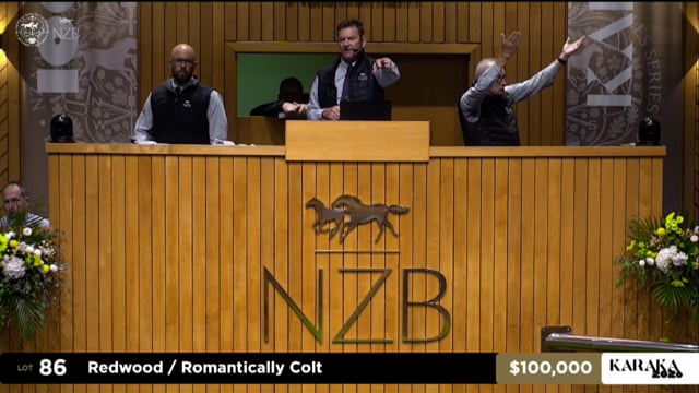 Karaka 2026: Book 1, Lots 86 - 93