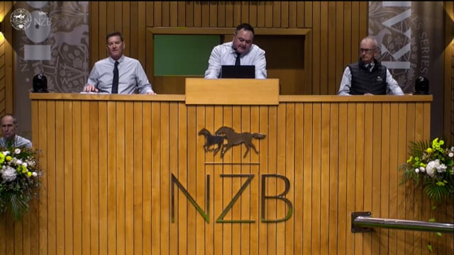 Karaka 2026: Book 1, Lots 133 - 139