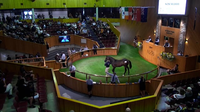 Karaka 2026: Book 1, Lots 155 - 167