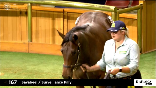 Karaka 2026: Book 1, Lots 167 - 176