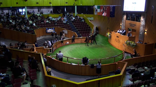 Karaka 2026: Book 1, Lots 185 - 194