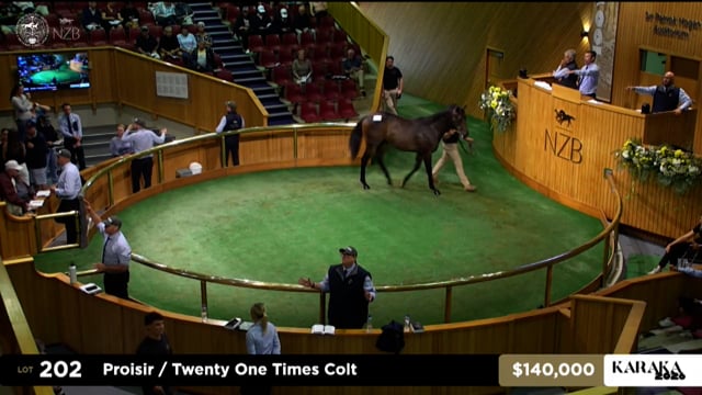 Karaka 2026: Book 1, Lots 202 - 209