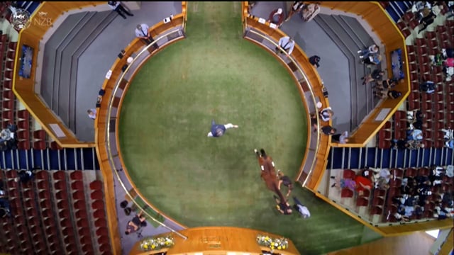 Karaka 2026: Book 1, Lots 216 - 225