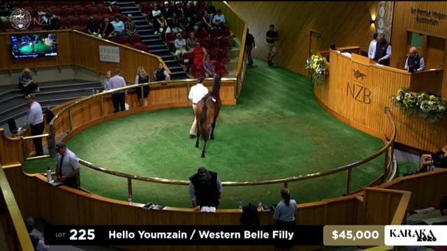 Karaka 2026: Book 1, Lots 225 - 235