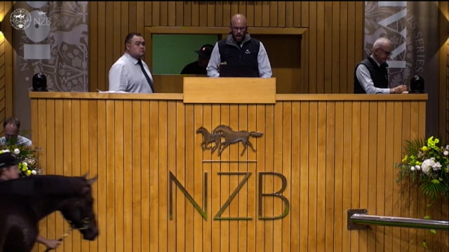 Karaka 2026: Book 1, Lots 236 - 244