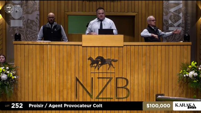 Karaka 2026: Book 1, Lots 252 - 259