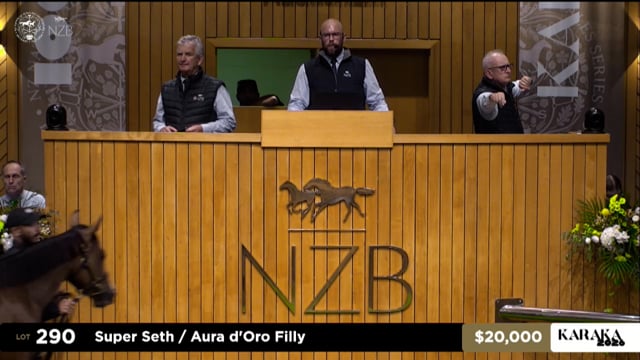 Karaka 2026: Book 1, Lot 290 - Preview Show Part 1