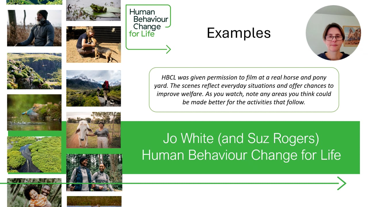 HBCL examples and activities from - compressed.mp4 - Jo White / Suz Rogers