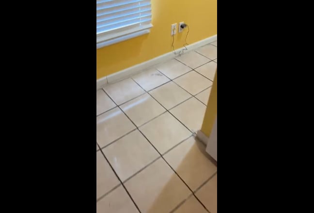 🌟 Hidden Gem in Adair Park – Rm. II 🌟 Main Photo