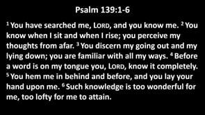 Related Embedded Video Item Thumbnail