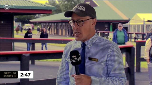 Karaka 2026: Book 1, Day 2 - Preview Show Part 3 - Lot 297