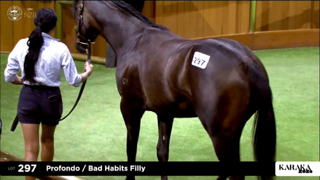 Karaka 2026: Book 1, Lots 297 - 305