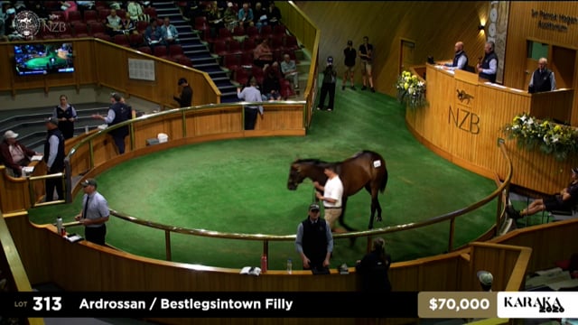 Karaka 2026: Book 1, Lots 313 - 324