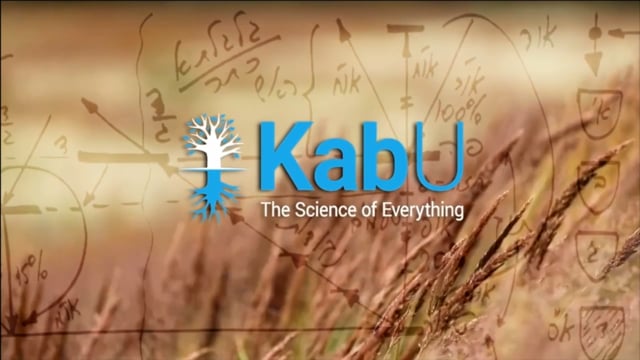 Jan 25, 2026 – Lesson #29 – The Life of the Kabbalist & the Kabbalistic Meal