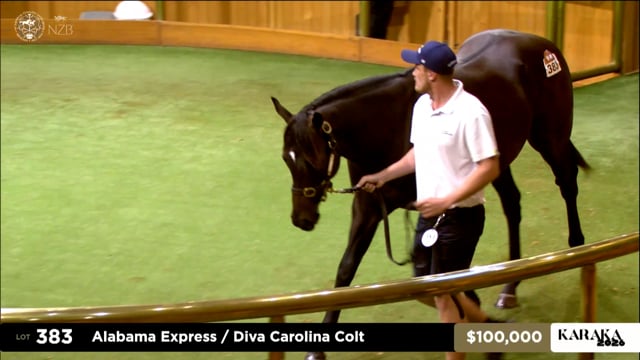 Karaka 2026 | Lot 383, $850,000