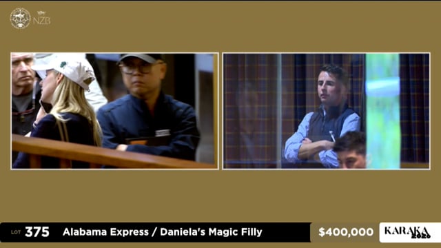 Karaka 2026: Book 1, Lots 375 - 382