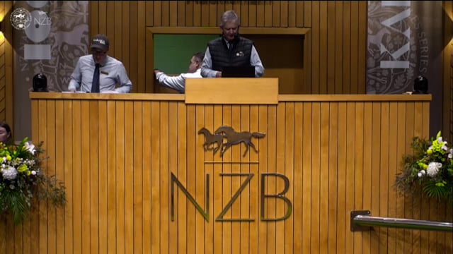 Karaka 2026: Book 1, Lots 400 - 409