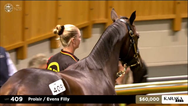 Karaka 2026: Book 1, Lots 409 - 417