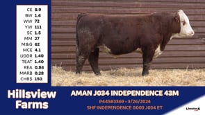 Lot #43M - AMAN J034 INDEPENDENCE 43M