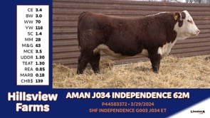 Lot #62M - AMAN J034 INDEPENDENCE 62M