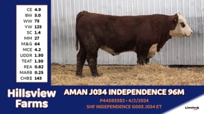 Lot #96M - AMAN J034 INDEPENDENCE 96M