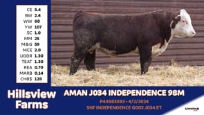Lot #98M - AMAN J034 INDEPENDENCE 98M