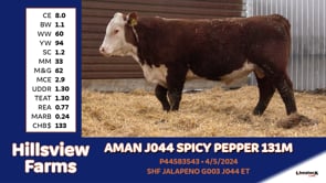 Lot #131M - AMAN J044 SPICY PEPPER 131M