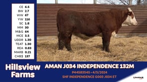 Lot #132M - AMAN J034 INDEPENDENCE 132M