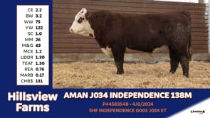 Lot #138M - AMAN J034 INDEPENDENCE 138M