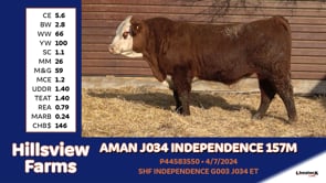 Lot #157M - AMAN J034 INDEPENDENCE 157M