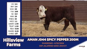Lot #200M - AMAN J044 SPICY PEPPER 200M