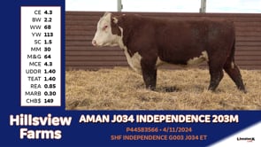 Lot #203M - AMAN J034 INDEPENDENCE 203M